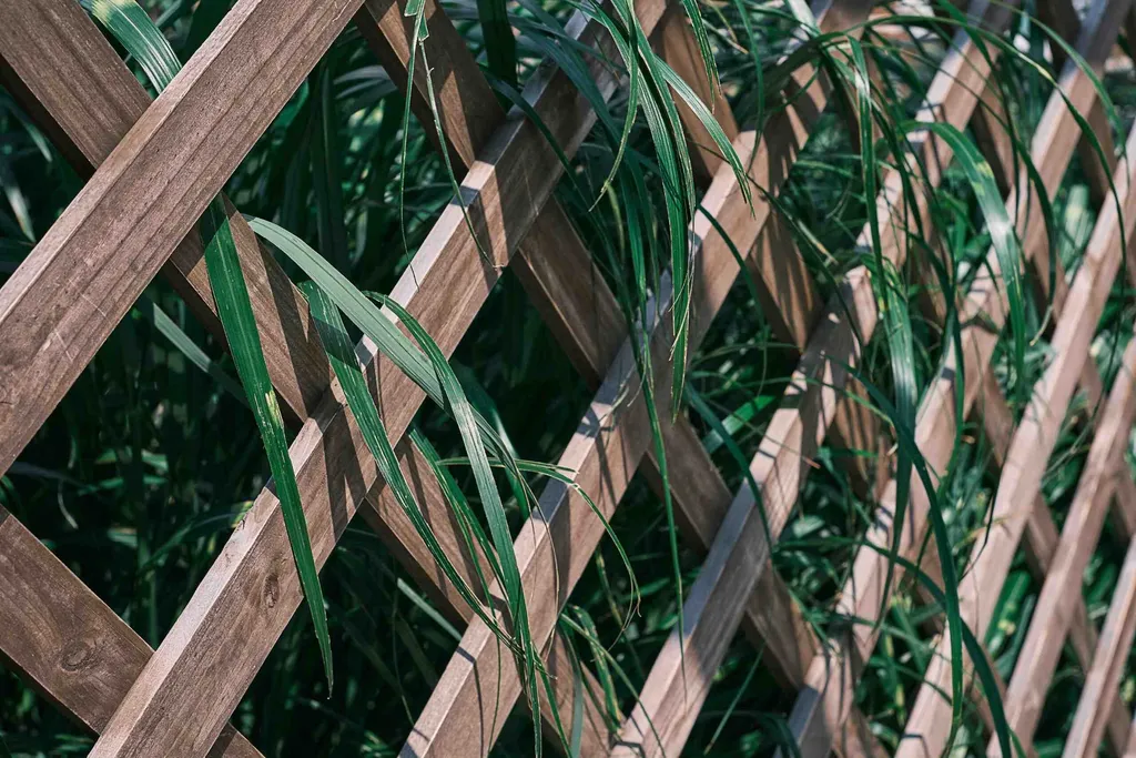 Custom Fence Designs - Create a Unique and Personalized