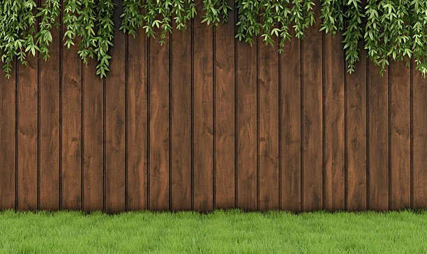 How to Protect a Wood Fence - Essential Tips for Longevity