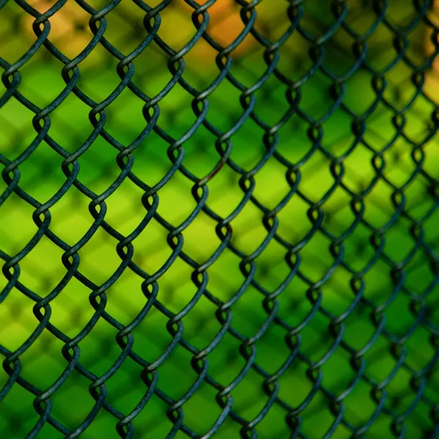 PVC-coated chain link fence