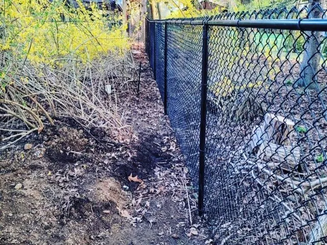 Chain link fence project