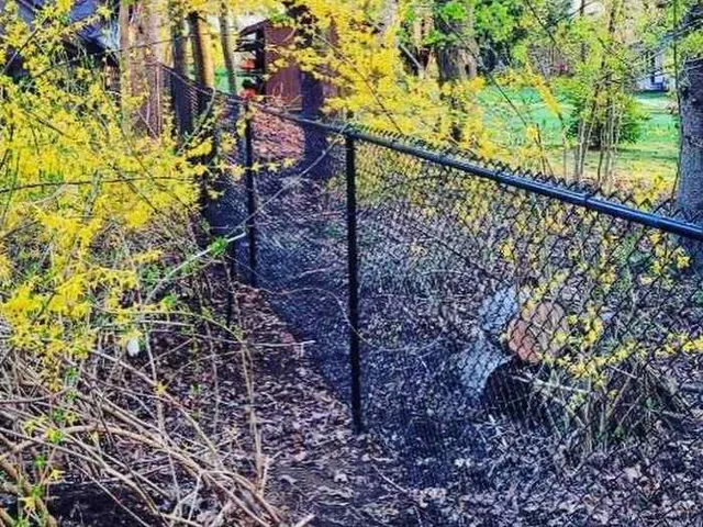 Chain link fence project